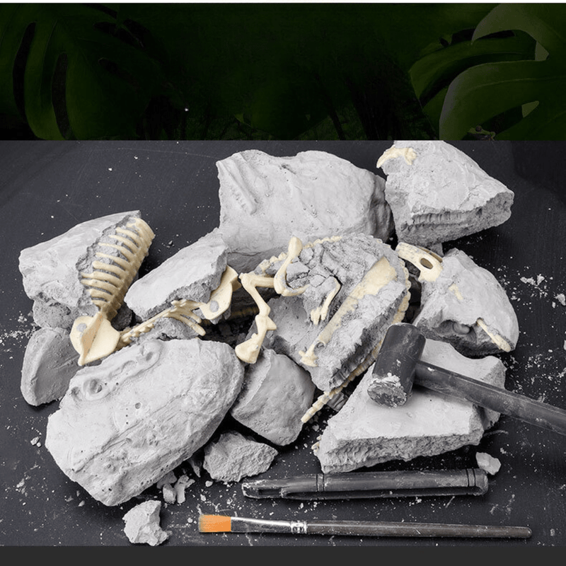 DIY Dinosaur Fossil Discovery Kit for Kids