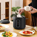 Portable Mini Rice Cooker