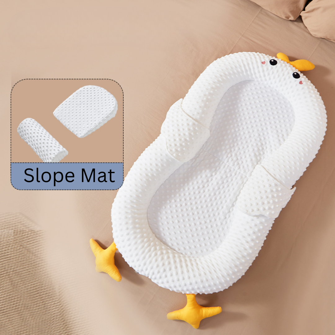 Little Baby Portable Sleeping Bed