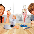 Early Education Smart Lab Squishy Human Body