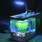 Mini Aquarium Fish Tank With LED Clock