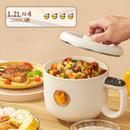 Compact All-in-One Electric Cooker
