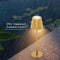 Modern Style Rechargeable Table Lamp