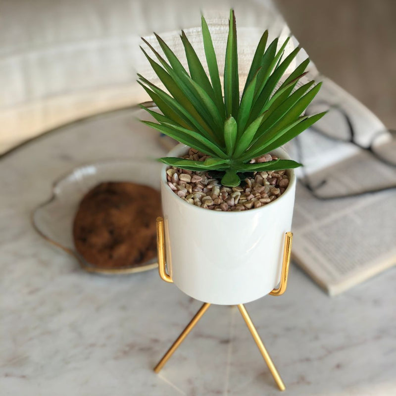 SIERRA PLANTER - Home Essentials Store Retail