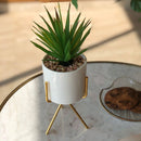 SIERRA PLANTER - Home Essentials Store Retail