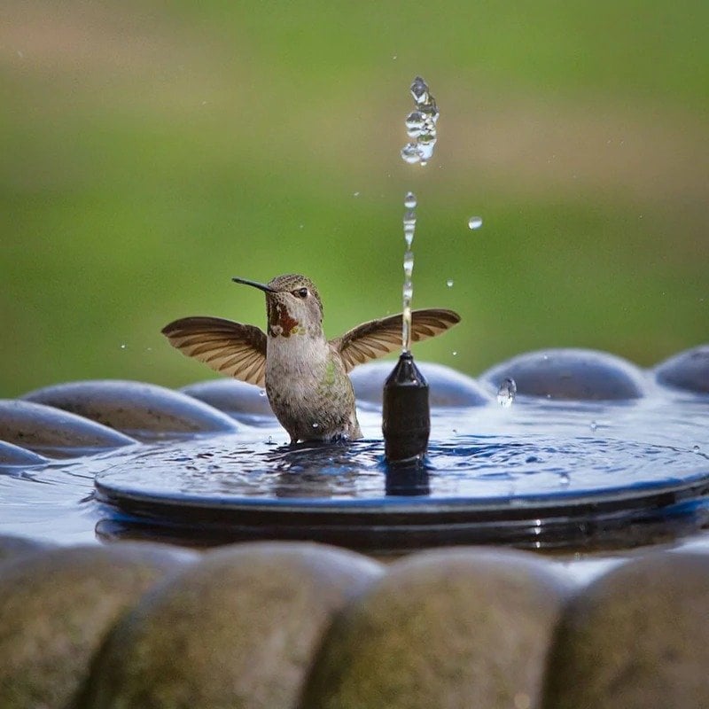 Solar Powered Water Fountain - Home Essentials Store Retail